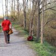 a person walking down a path in the woods