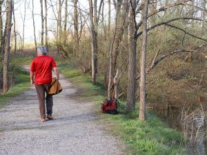 a person walking down a path in the woods