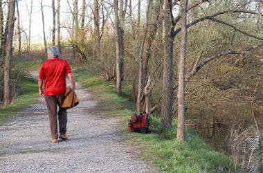 a person walking down a path in the woods