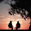 silhouette of two person sitting on chair near tree