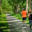 man in orange t-shirt and gray pants with blue shoes walking on pathway