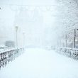 road covered by snow near vehicle traveling at daytime