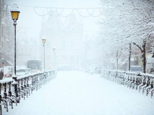 road covered by snow near vehicle traveling at daytime