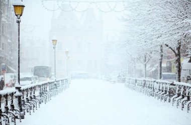 road covered by snow near vehicle traveling at daytime