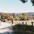 a man riding a skateboard down a dirt road