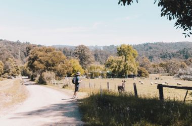 a man riding a skateboard down a dirt road