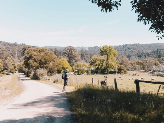 a man riding a skateboard down a dirt road